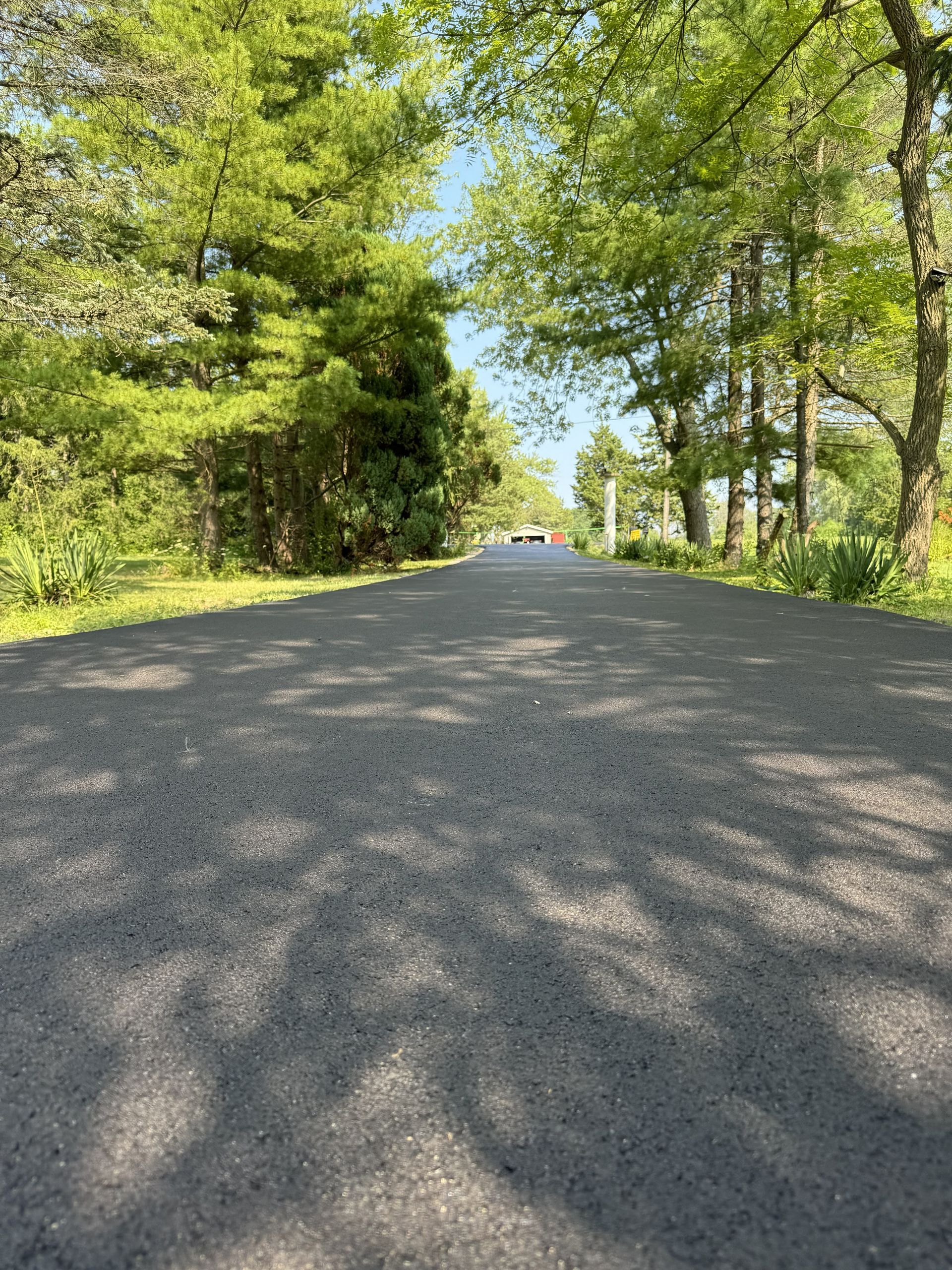 Tree-lined paved road stretching uphill under bright sunlight, with a car in the distance.
