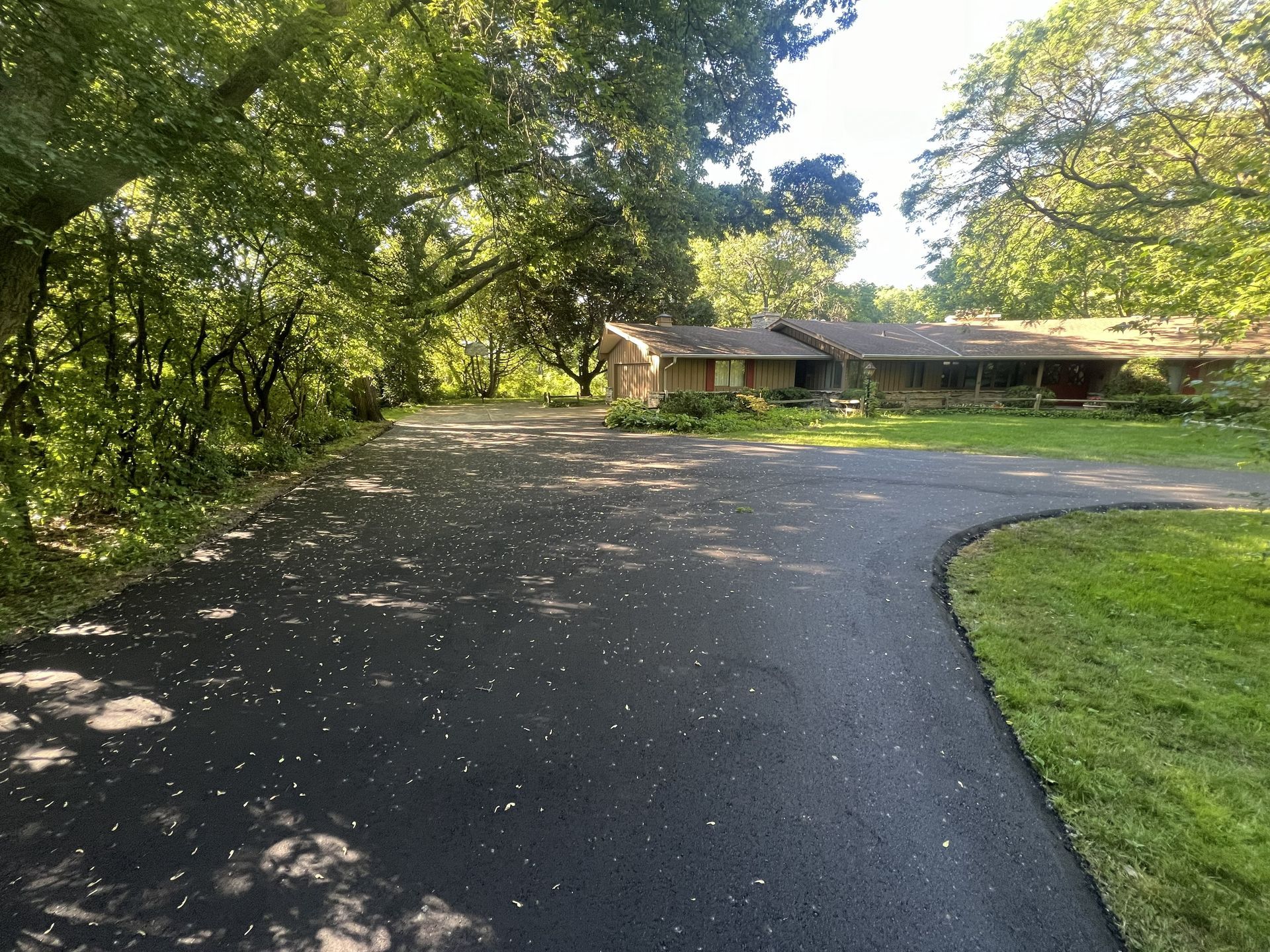 Curved driveway beside a wooded lawn leading to a single-story house