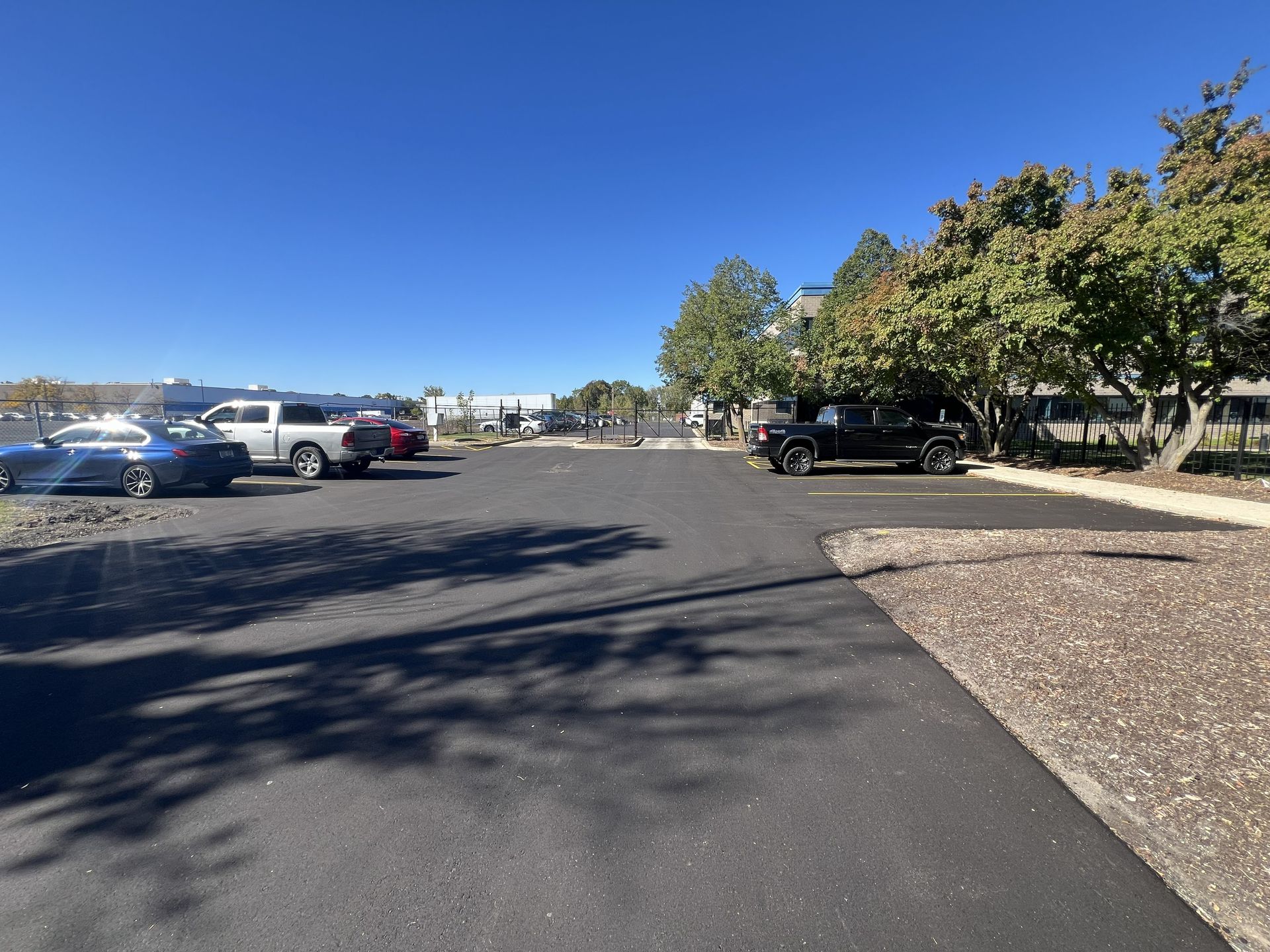 Sunny parking lot with parked cars, trees, and a clear blue sky