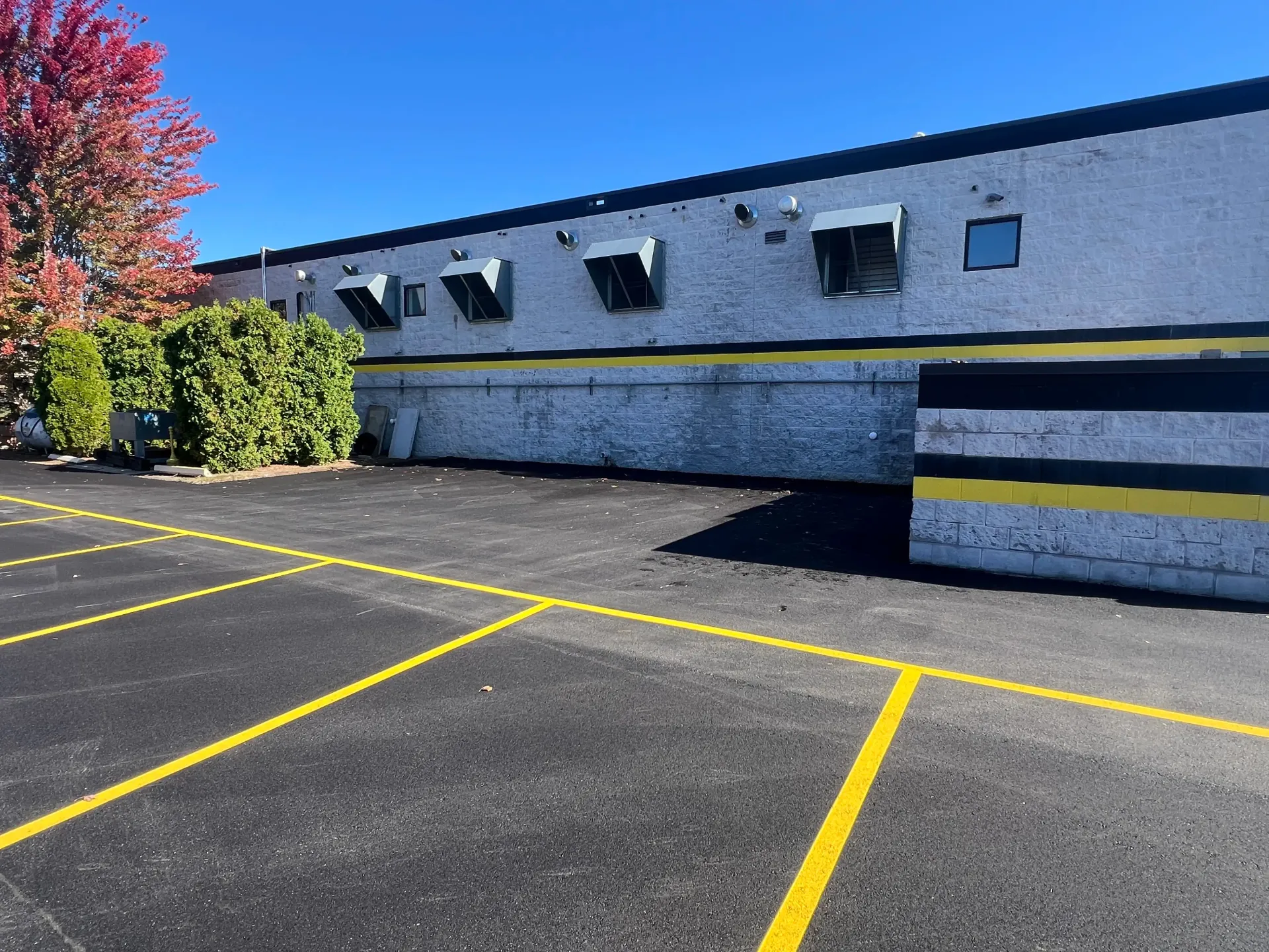 Empty parking lot beside a gray building with yellow-striped spaces and a red tree