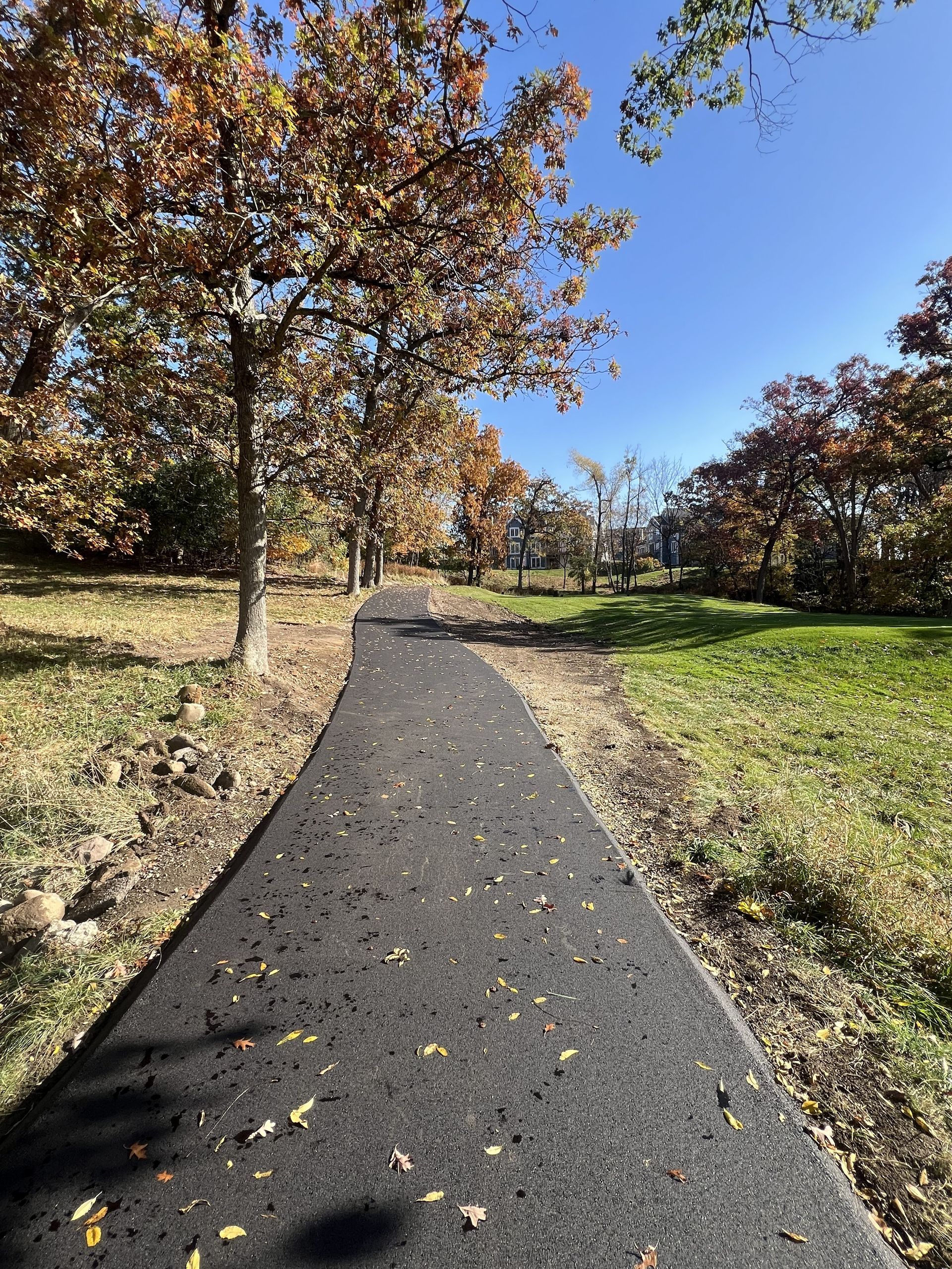 Paved park trail winding through autumn trees under a blue sky