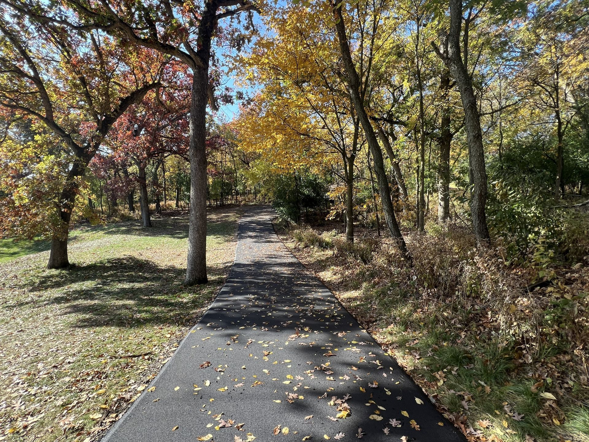 Paved park trail lined with autumn trees and fallen leaves on a sunny day