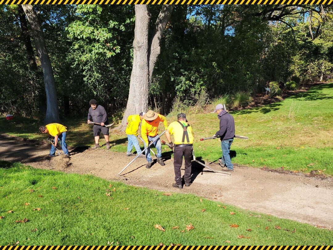 Workers trimming a park tree beside a path, with a yellow safety tarp and green grass nearby