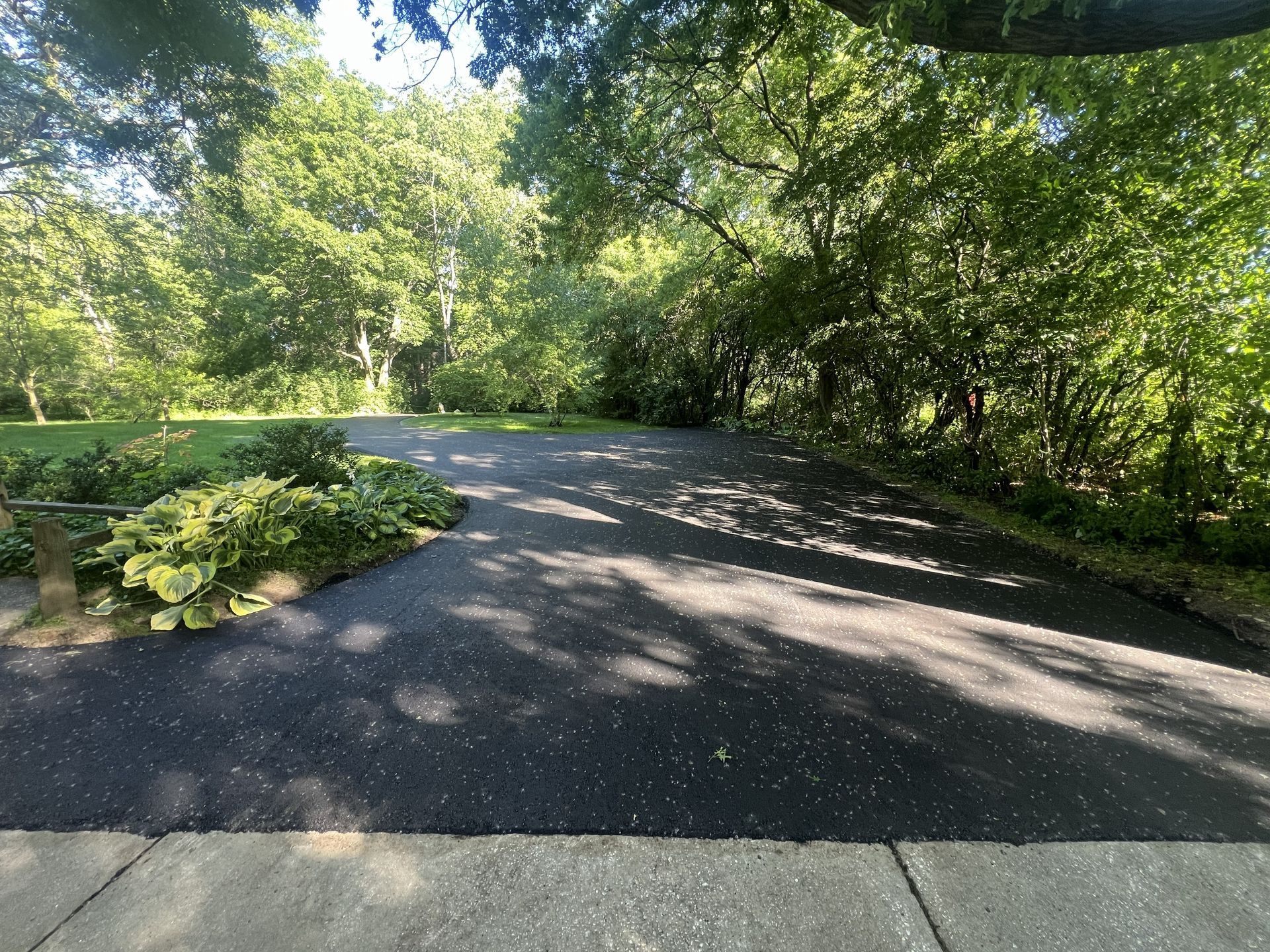 Shaded park road curving through lush green trees and sunlit foliage