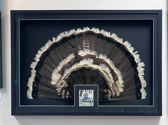 Framed fan-shaped feather headdress or art display in black, with a small photo centered below