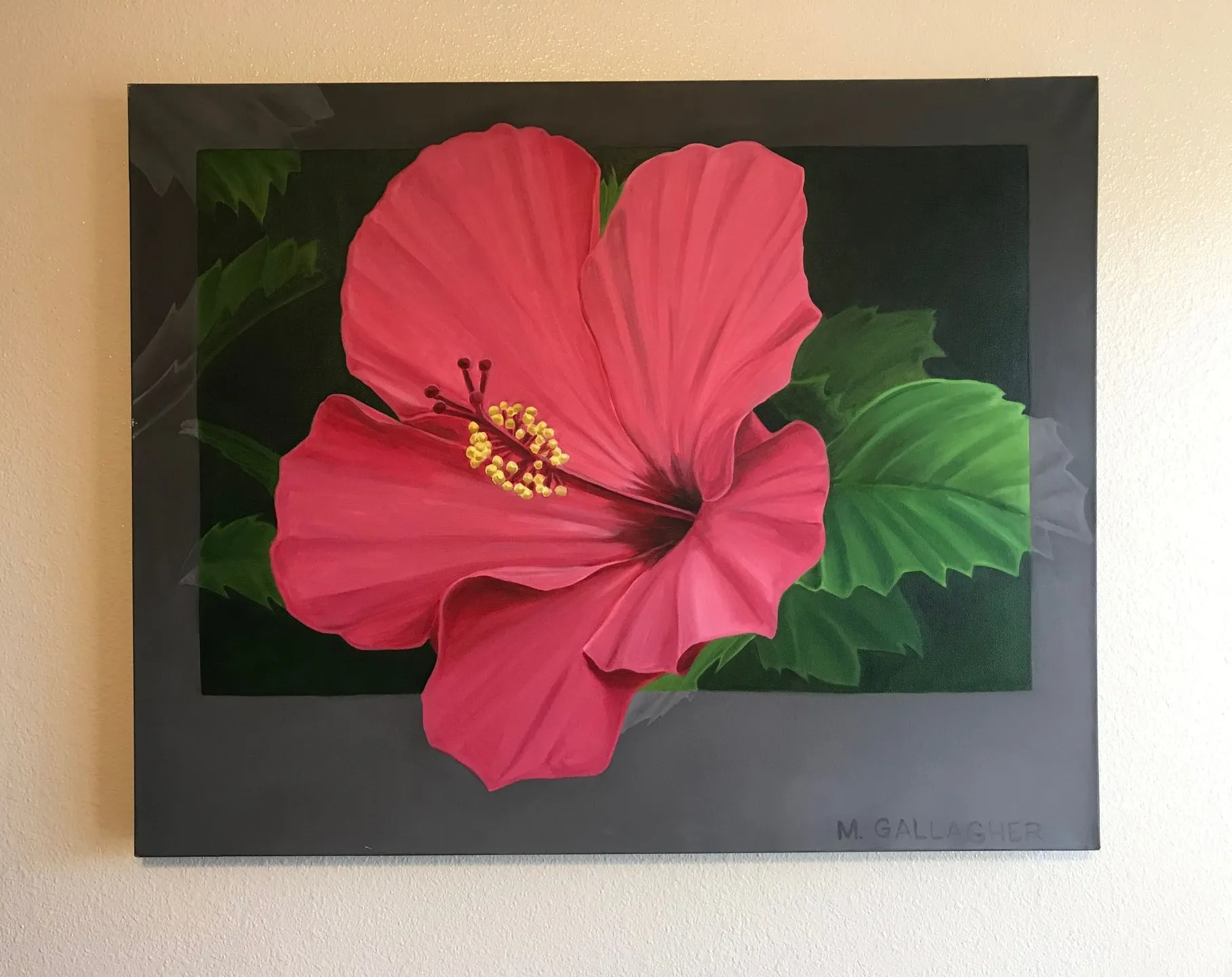Pink hibiscus flower with green leaves in a black frame on a beige wall