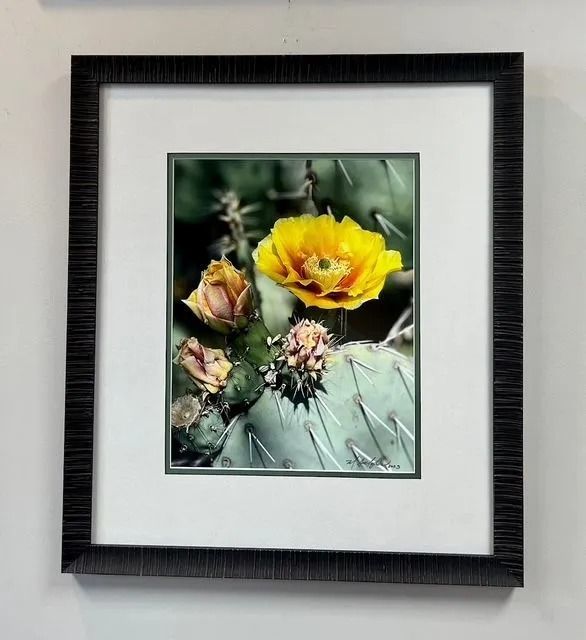Framed botanical print of yellow cactus flowers with buds on a pale background