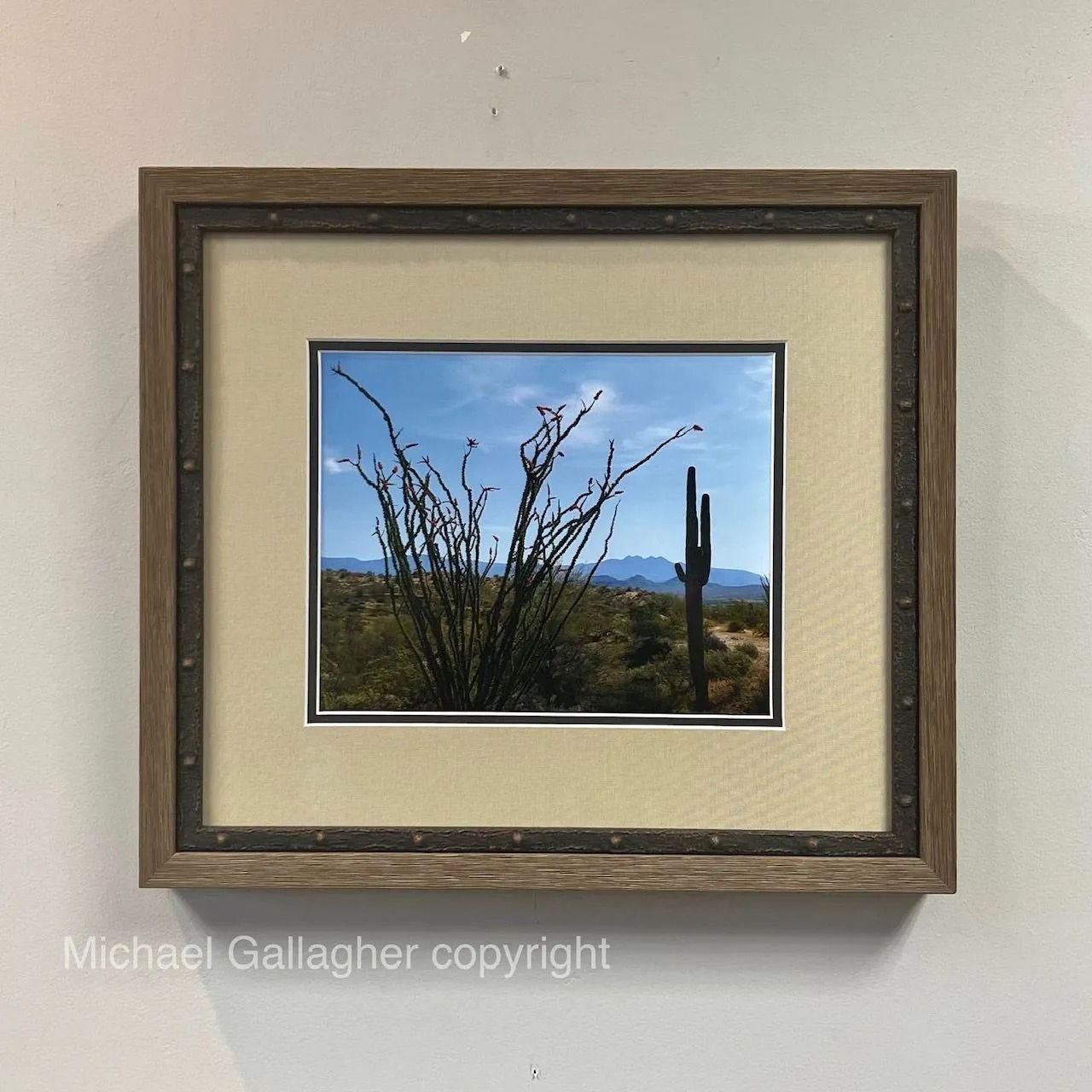Framed landscape photo with cactus and desert plants against a blue sky and mountains