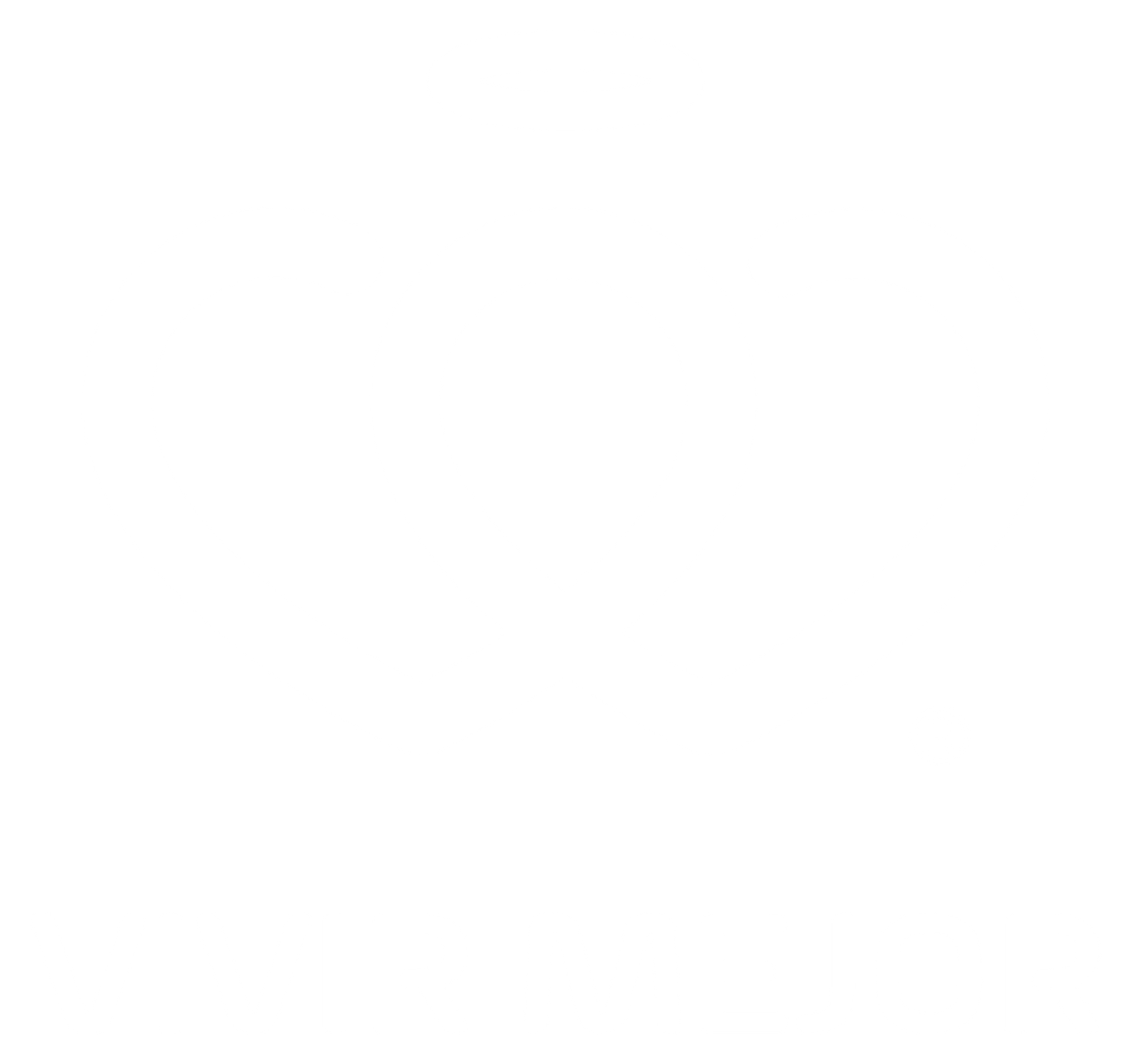 Vivir Mejor Irapuato A.C.