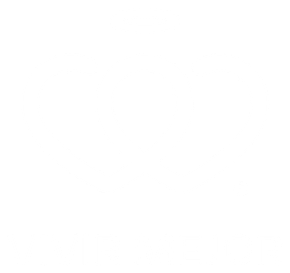 Vivir Mejor Irapuato A.C.