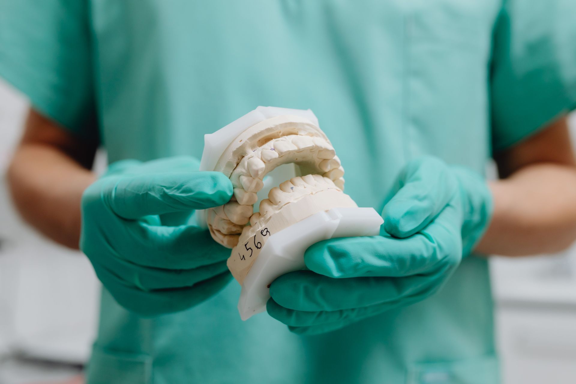 Gloved hands holding a dental cast model of upper and lower teeth.