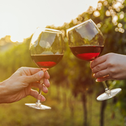 Two hands clink red wine glasses at sunset in a vineyard.