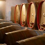 Rows of wooden wine barrels in a cellar, with barrels standing upright in warm light.