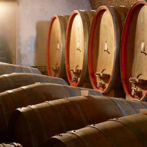 Rows of wooden wine barrels in a cellar, with barrels standing upright in warm light.