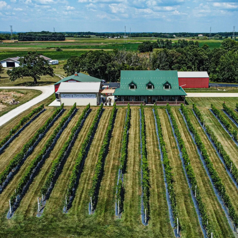 Aerial view of a farm with long crop rows, green-roofed buildings, and open fields under a blue sky