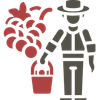 Person in hat picking red grapes into a basket from a grape cluster illustration