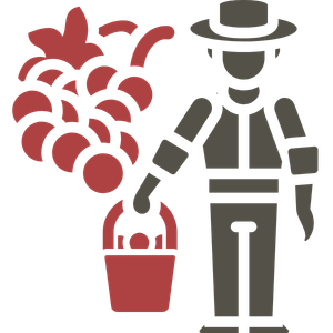 Red and gray icon of a vineyard worker carrying a red basket of grapes