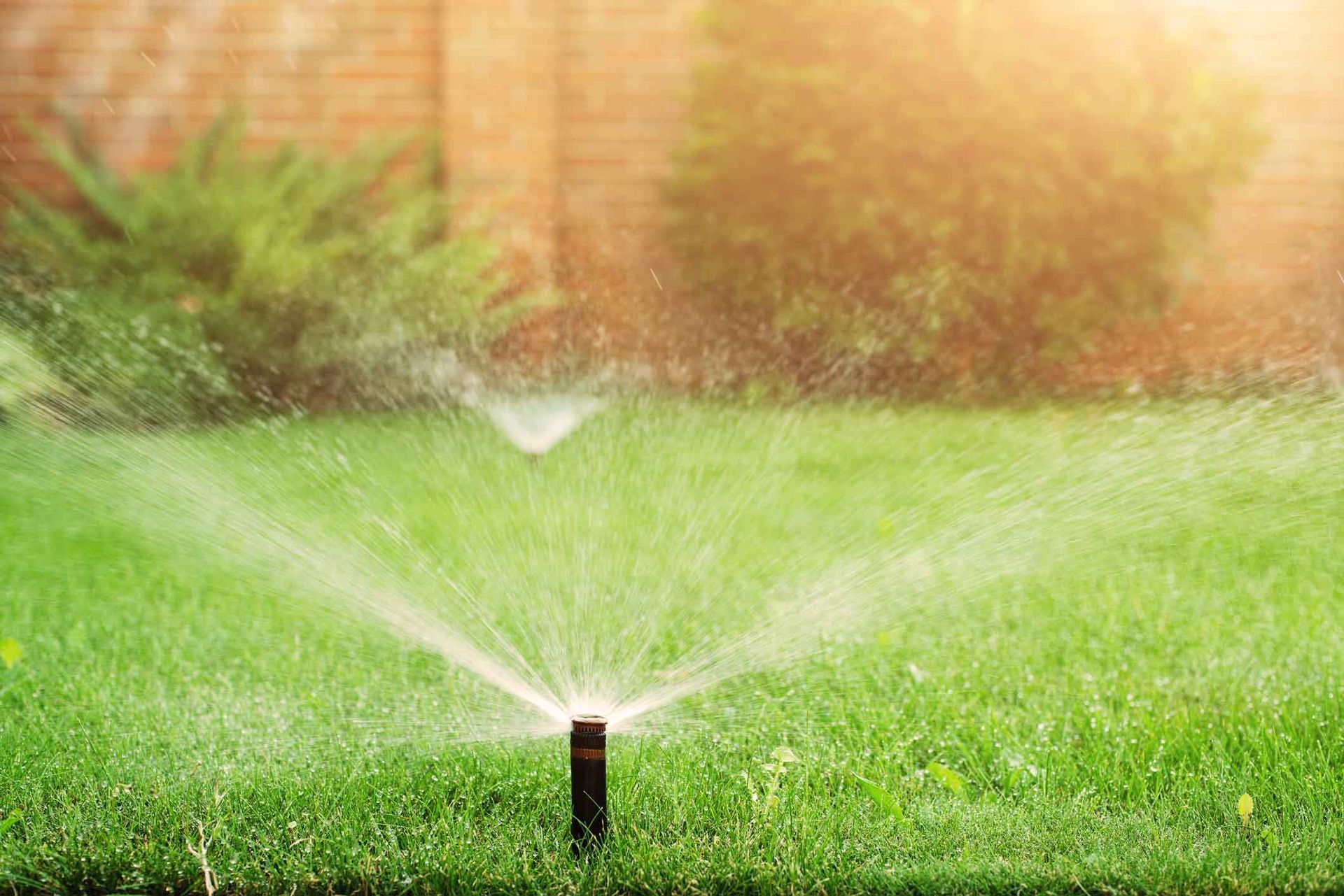 Lawn sprinkler spraying water over a green yard in sunlight