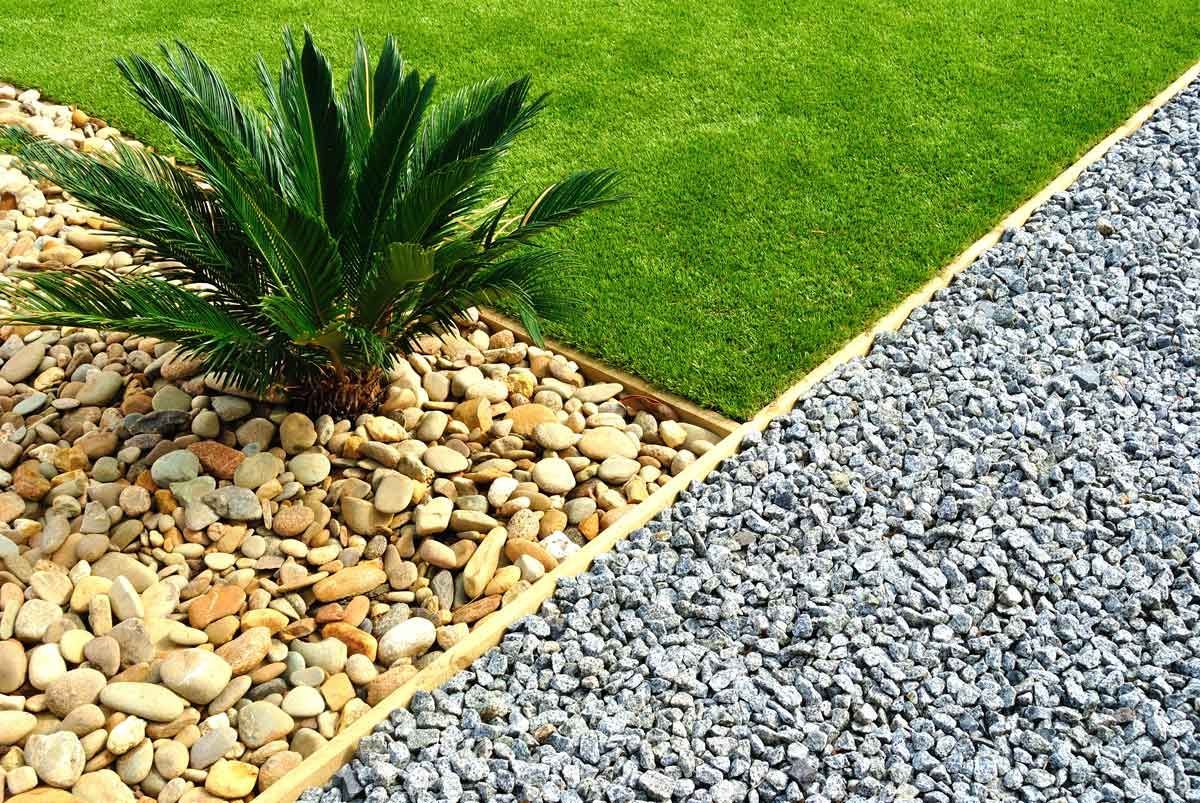 Landscaped garden with green grass, pebbles, and a small palm-like plant