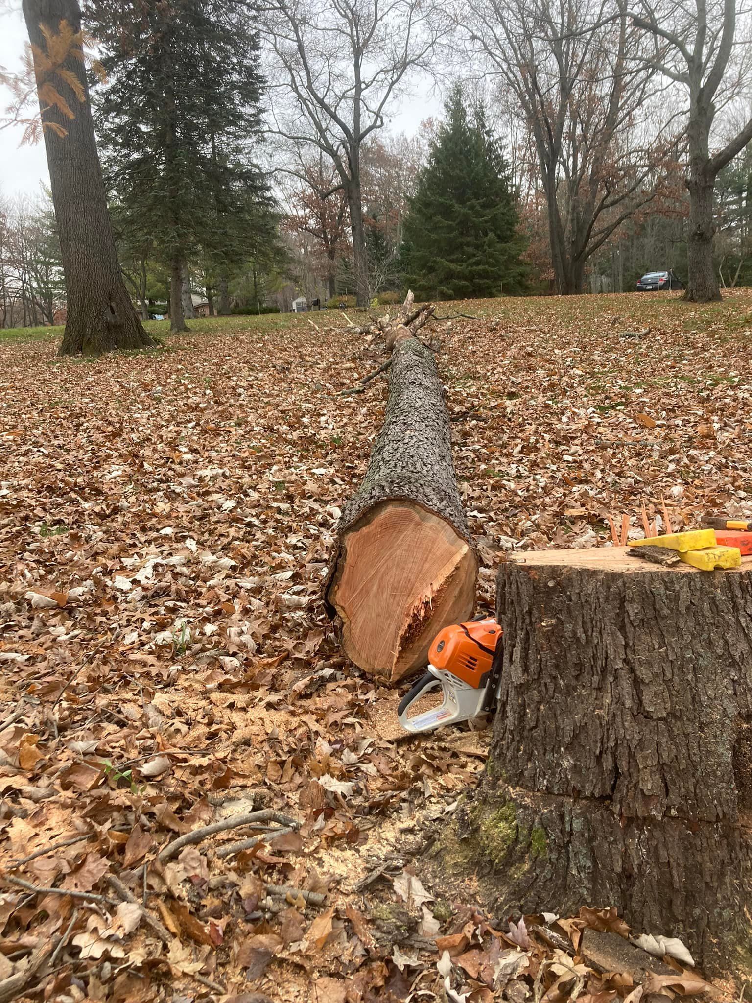 Lansing Michigan Tree Trimming