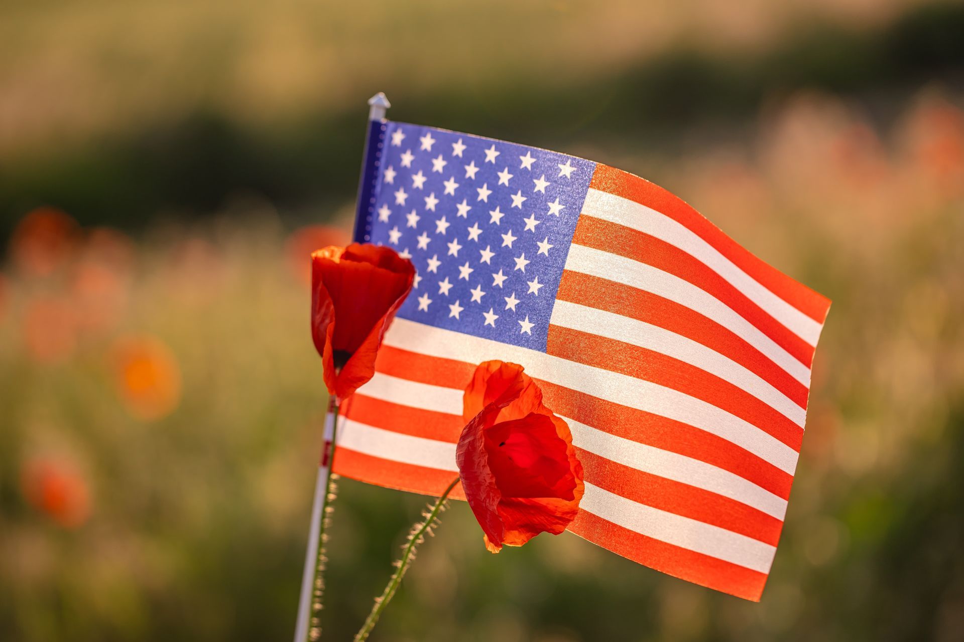 A woman is holding an american flag and a rose at a funeral.