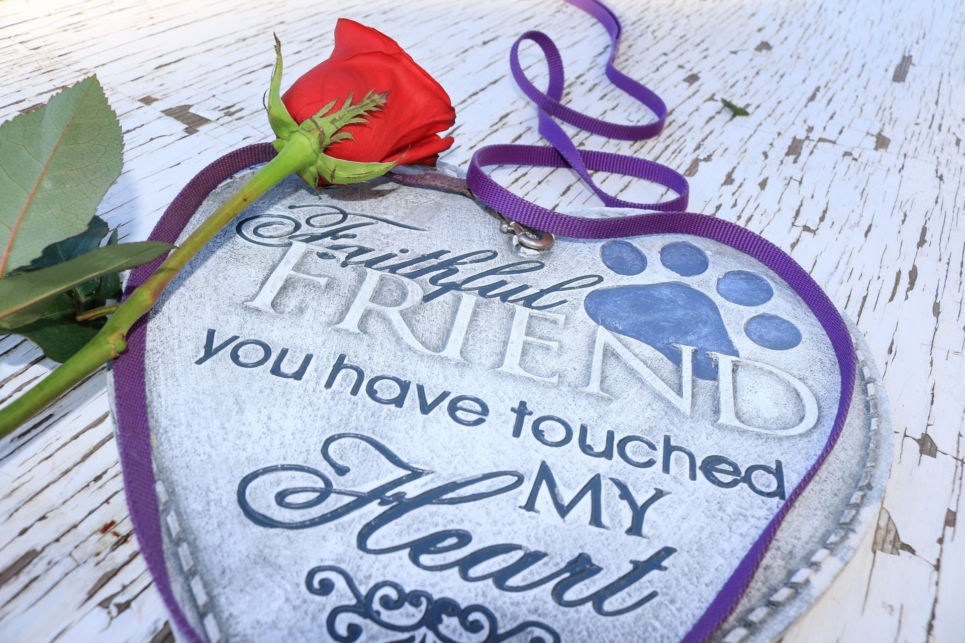 Heart-shaped sign with purple paw print and red rose, reading “True friends have touched my heart”