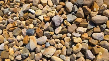 Close-up of small tan and gray river pebbles covering the ground