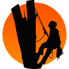 Jared's Tree Trimming and Removal Logo Jared's Tree Trimming and Removal