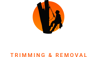 Jared's Tree Trimming and Removal