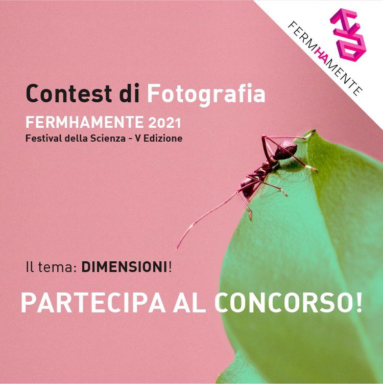 contest photo