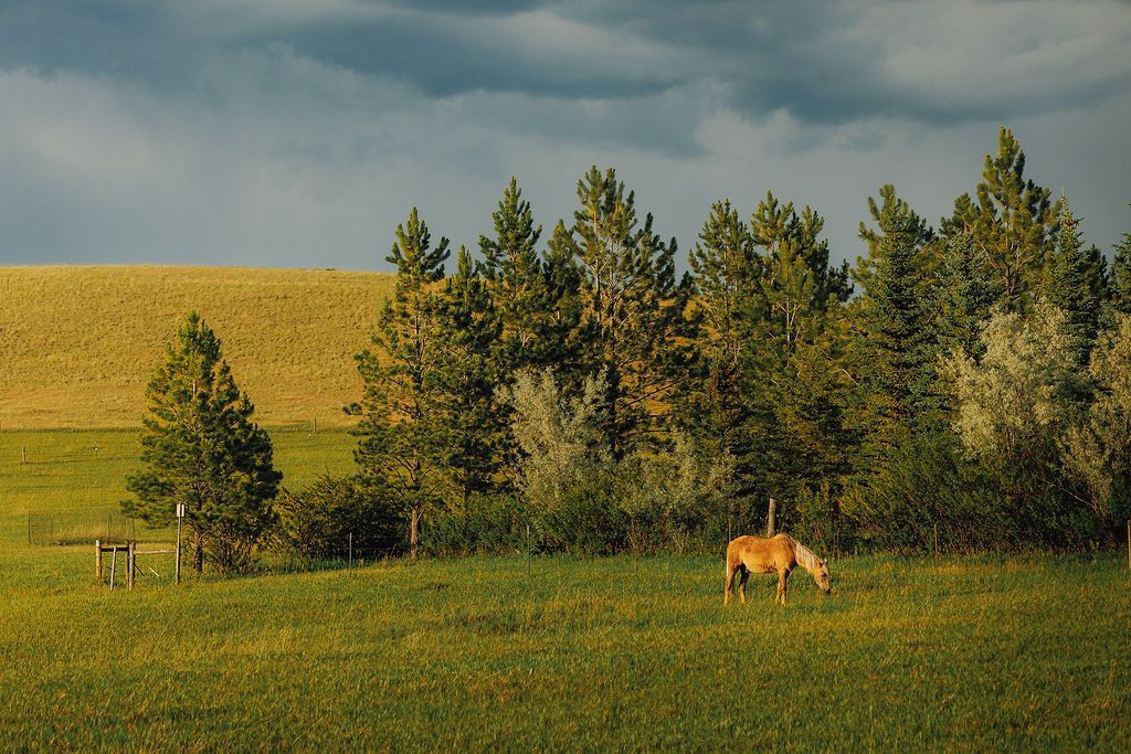 Golden Ranch Montana airbnb mirror cabin and main house views