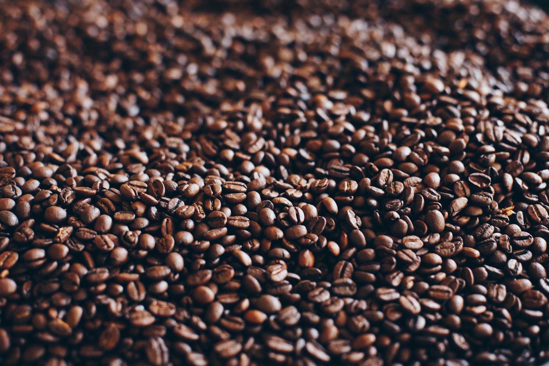 Fresh Coffee Bean by Engine 4 Coffee Company - Virginia Beach, Chesapeake, Smithfield, Norfolk, Hampton, Suffolk, VA