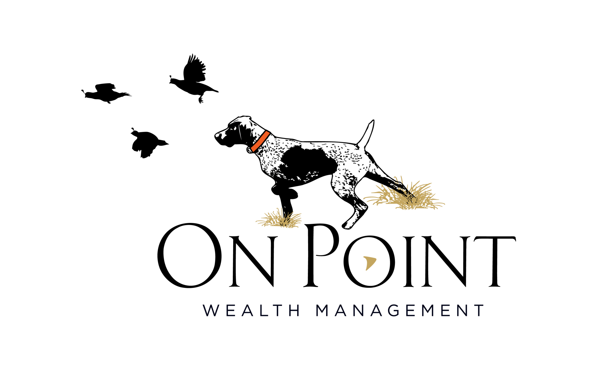 Lake Wales Financial Advisors On Point Wealth Management