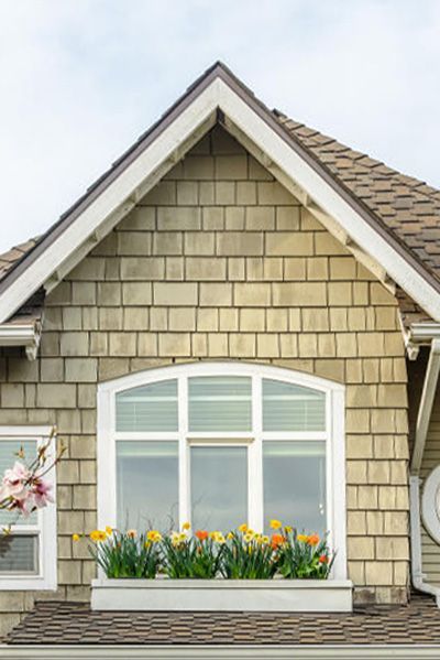 Craftsman with Shake style siding