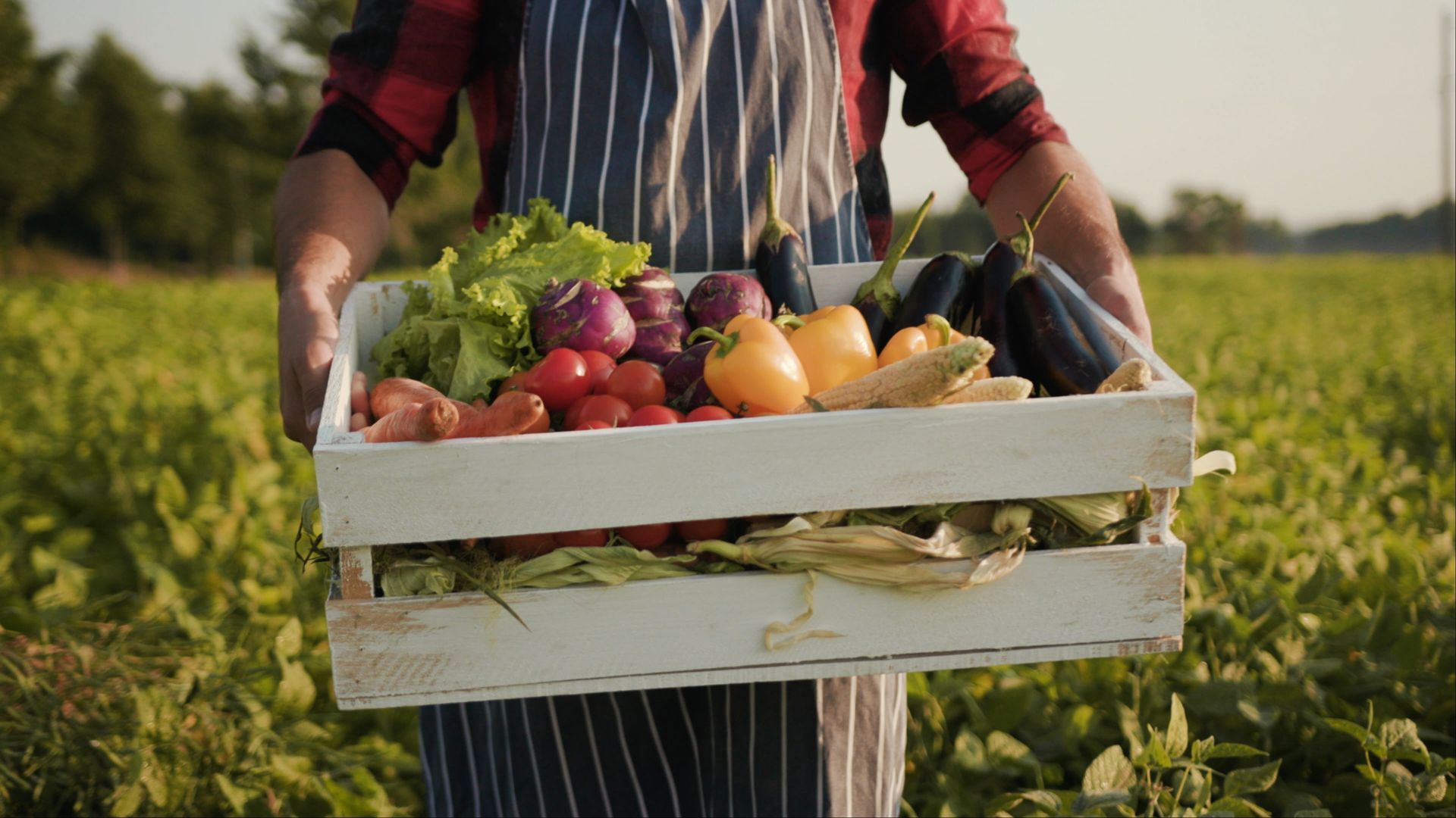 Person holding a wooden crate of fresh fruits and vegetables in a field