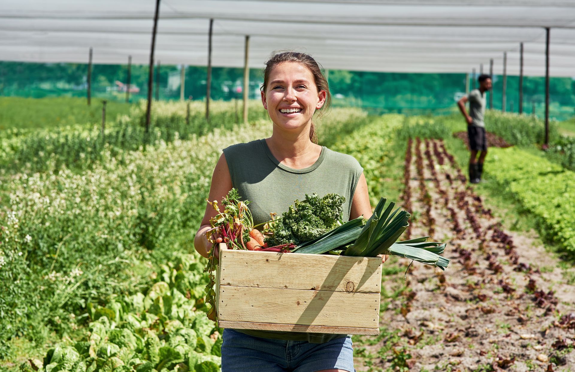 Woman holding a crate of vegetables in a greenhouse farm