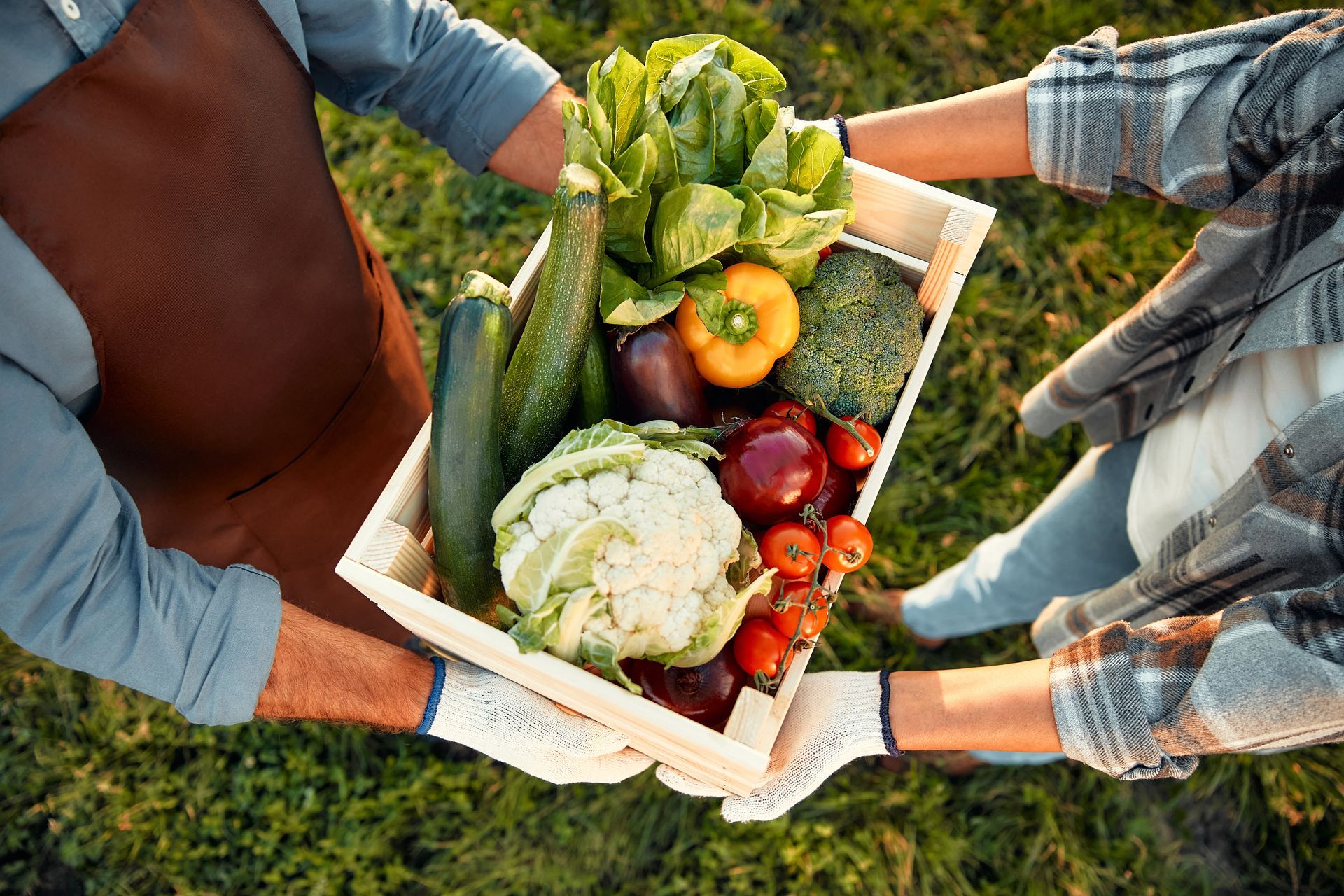 People holding a crate of fresh vegetables and fruit outdoors in a garden.