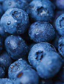 Close-up of fresh blueberries with water droplets