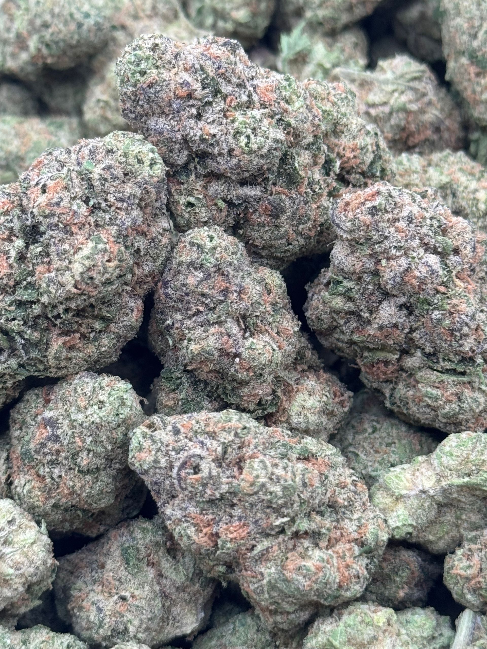 Blueberry X Lemon Barz