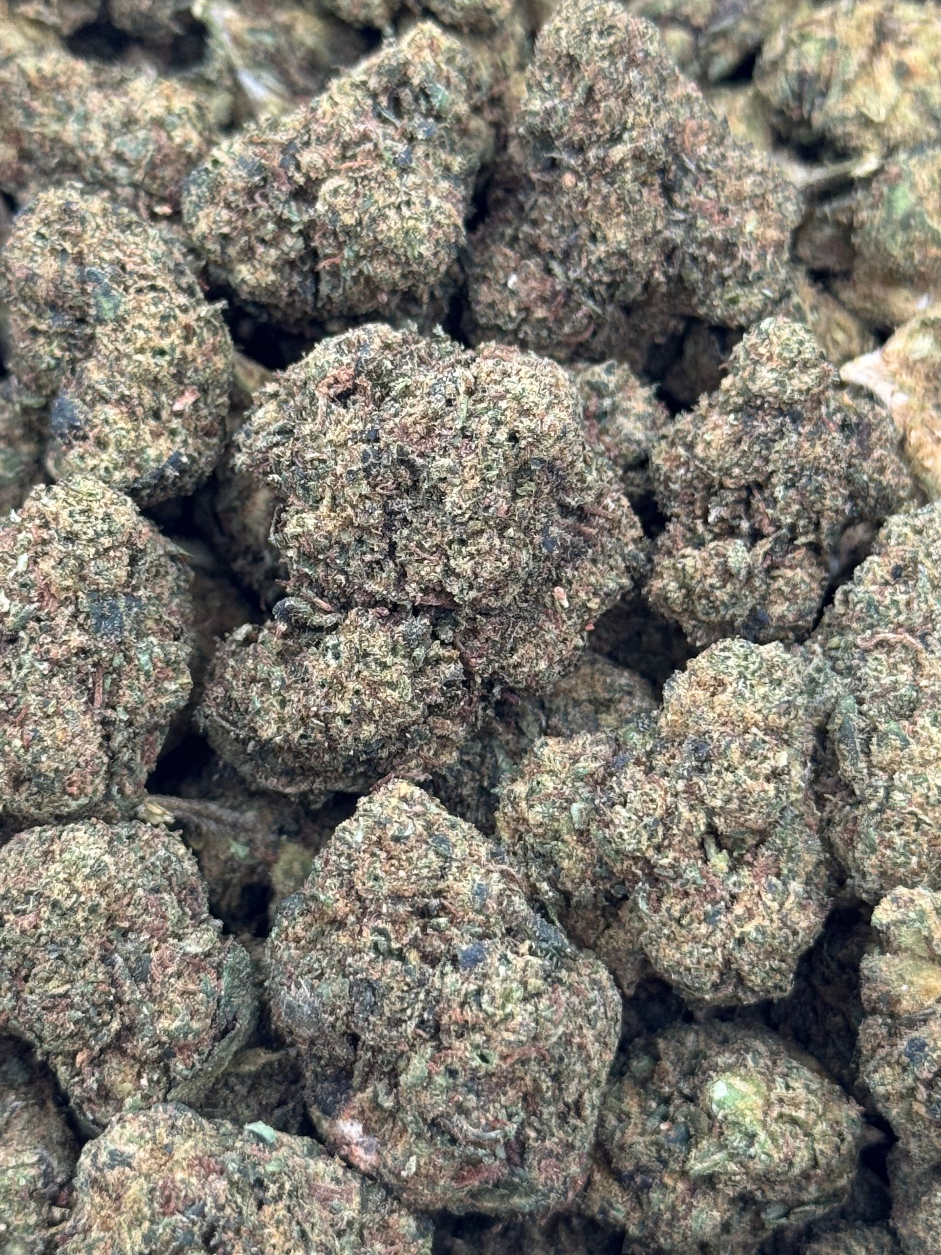 Candy Gelato
