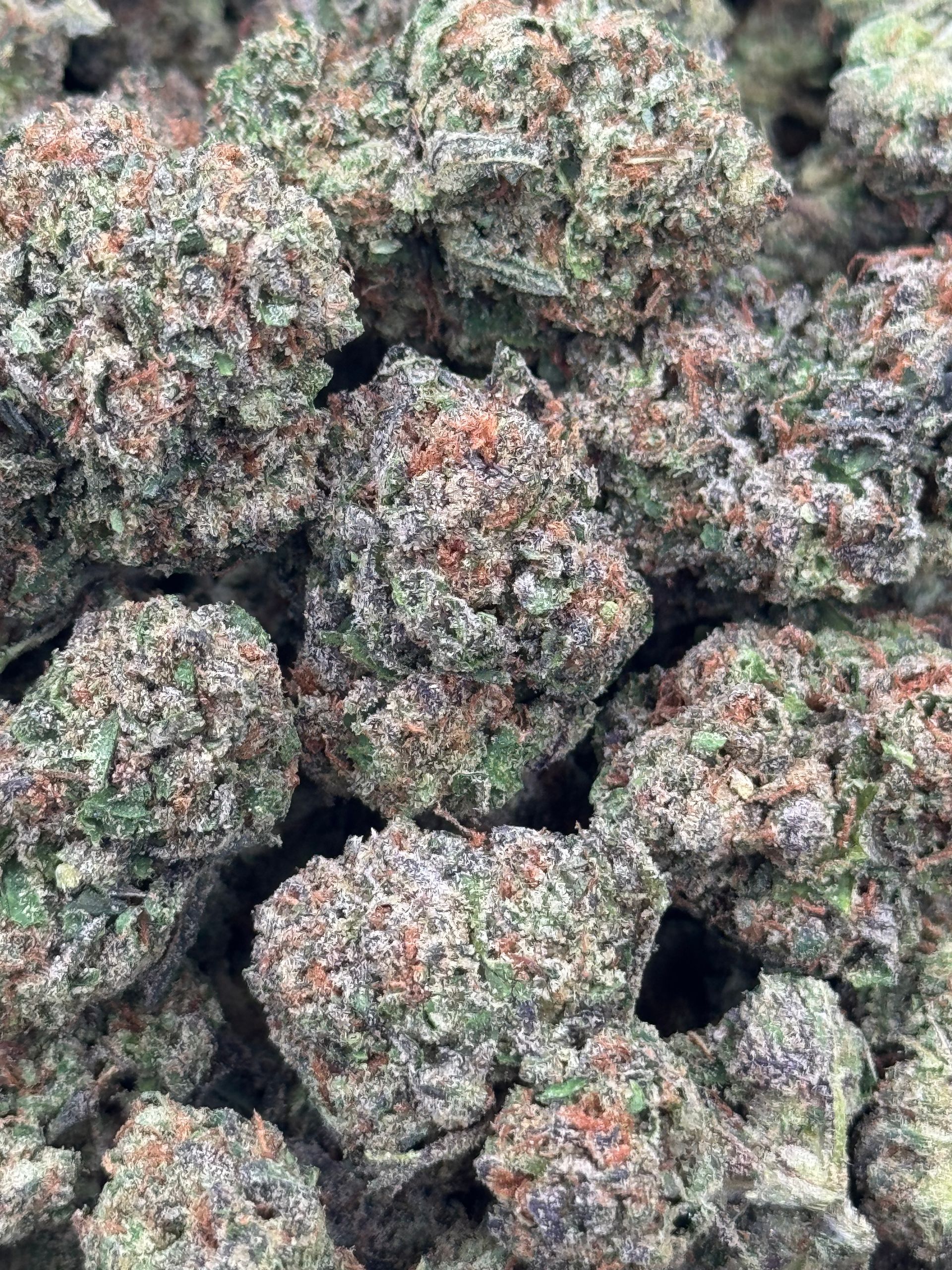 Lemon Cherry Gelato