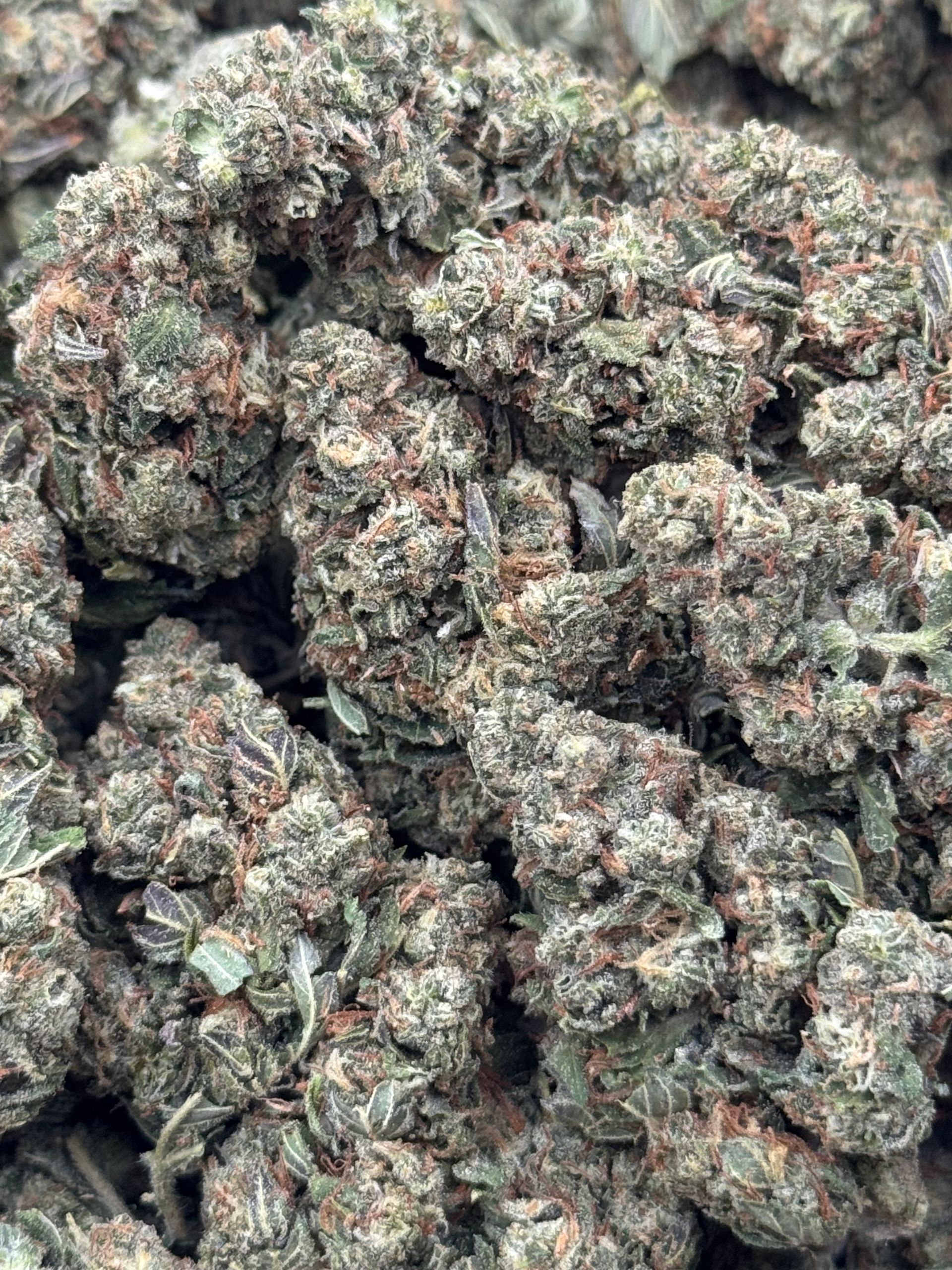 Garlic Breath