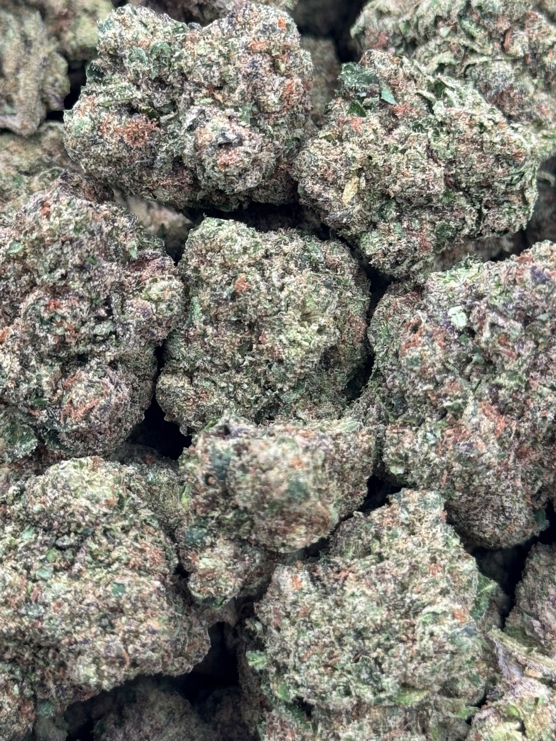 Gelato 33