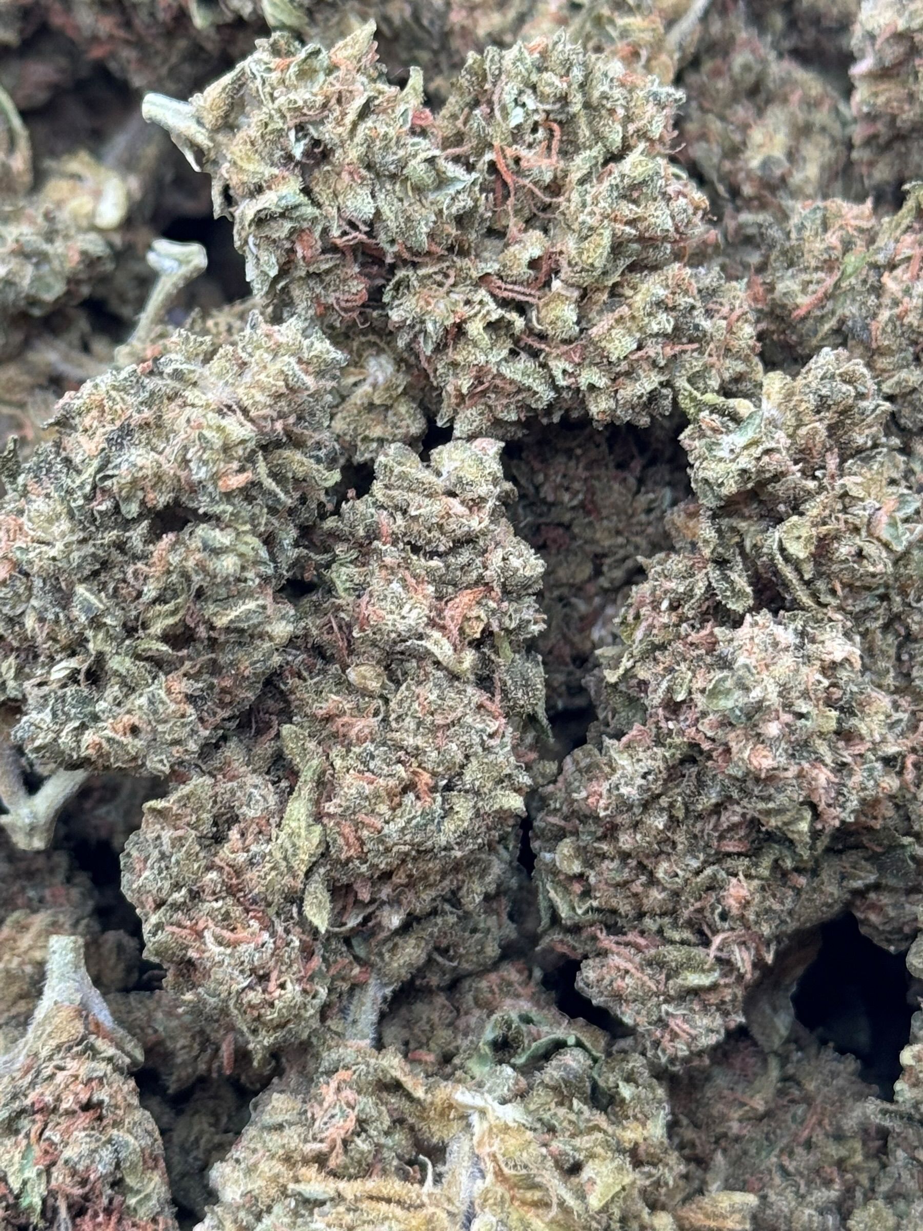 Jack Herer