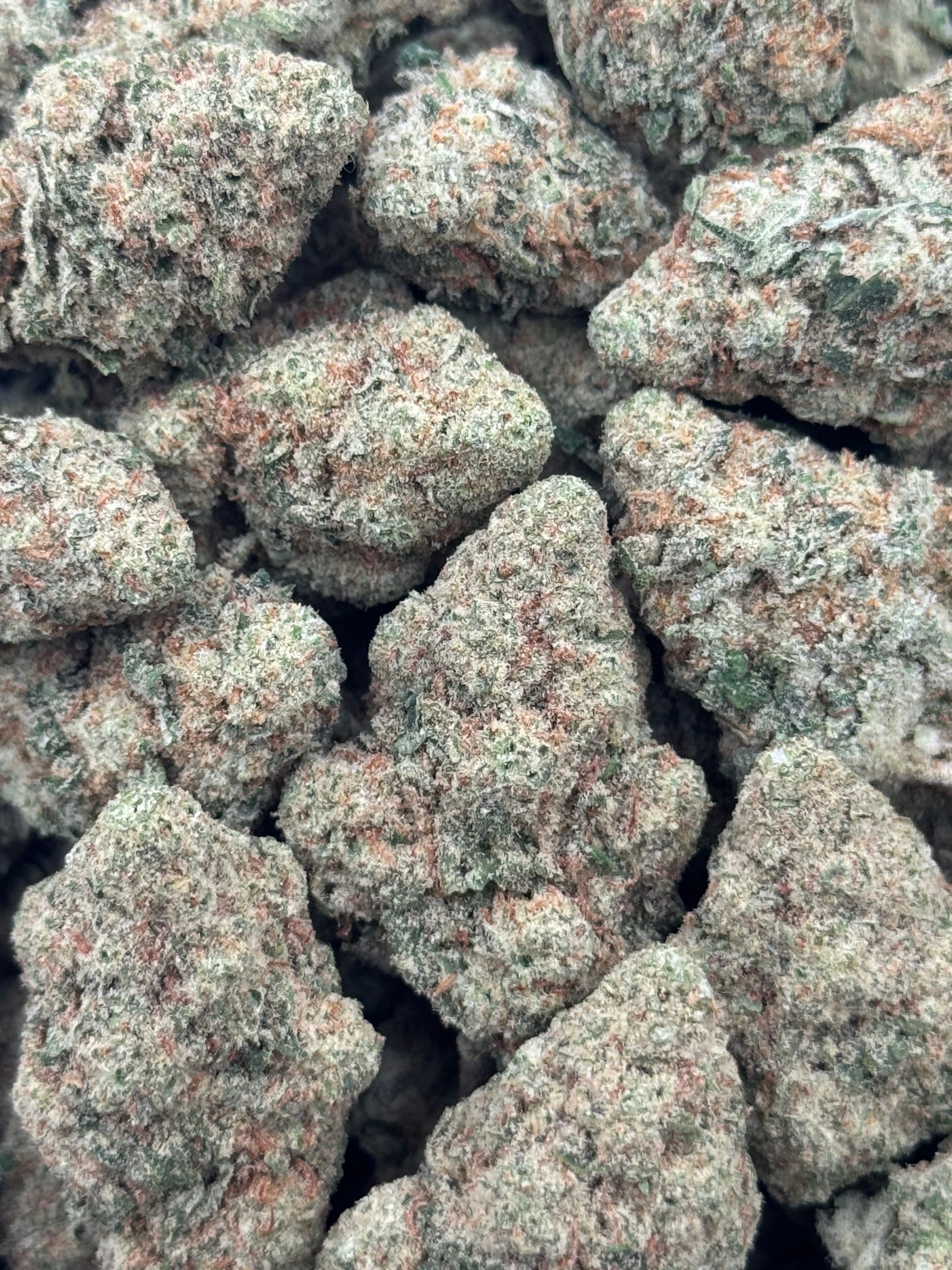 Papaya