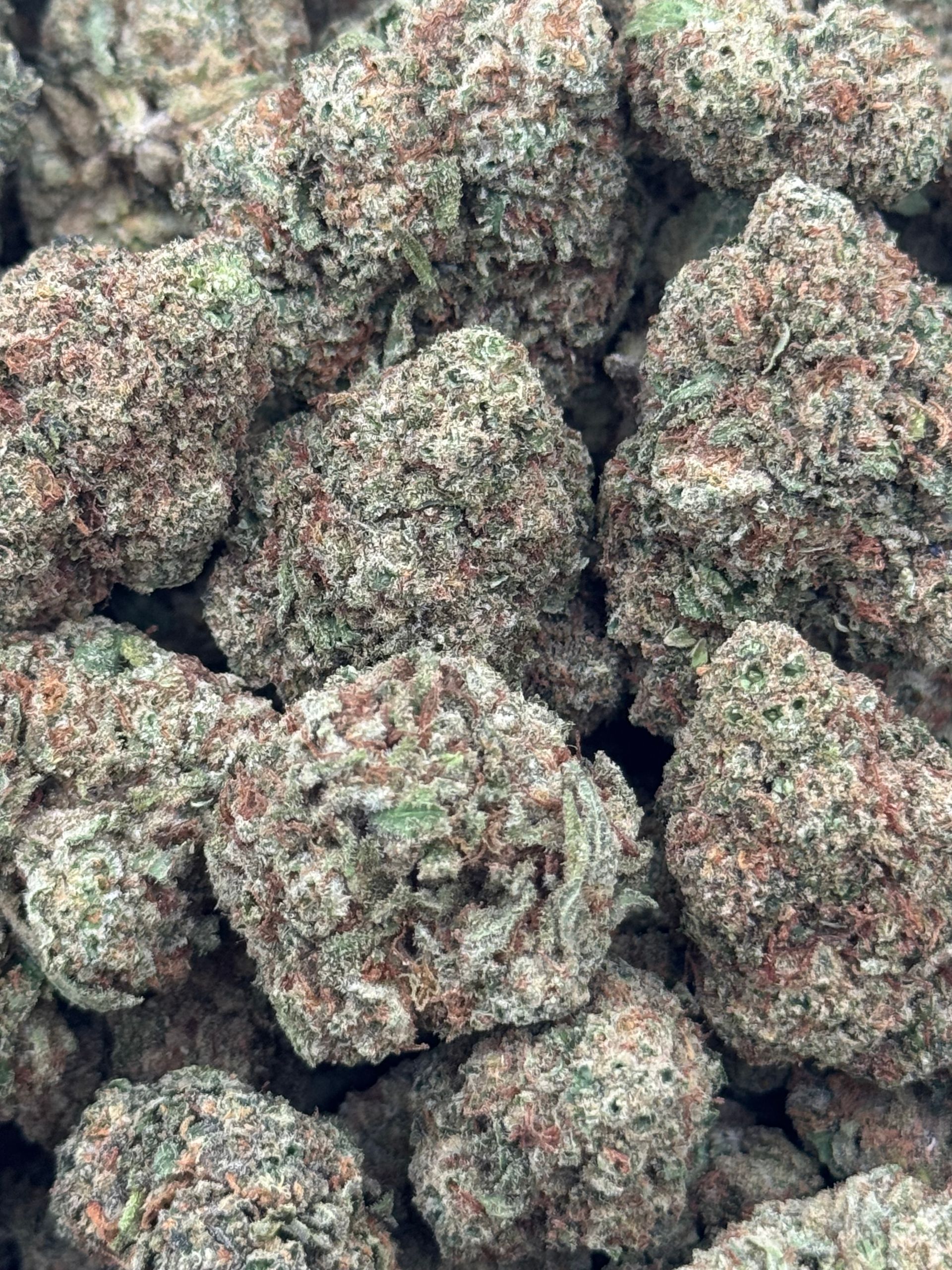Bubblegum