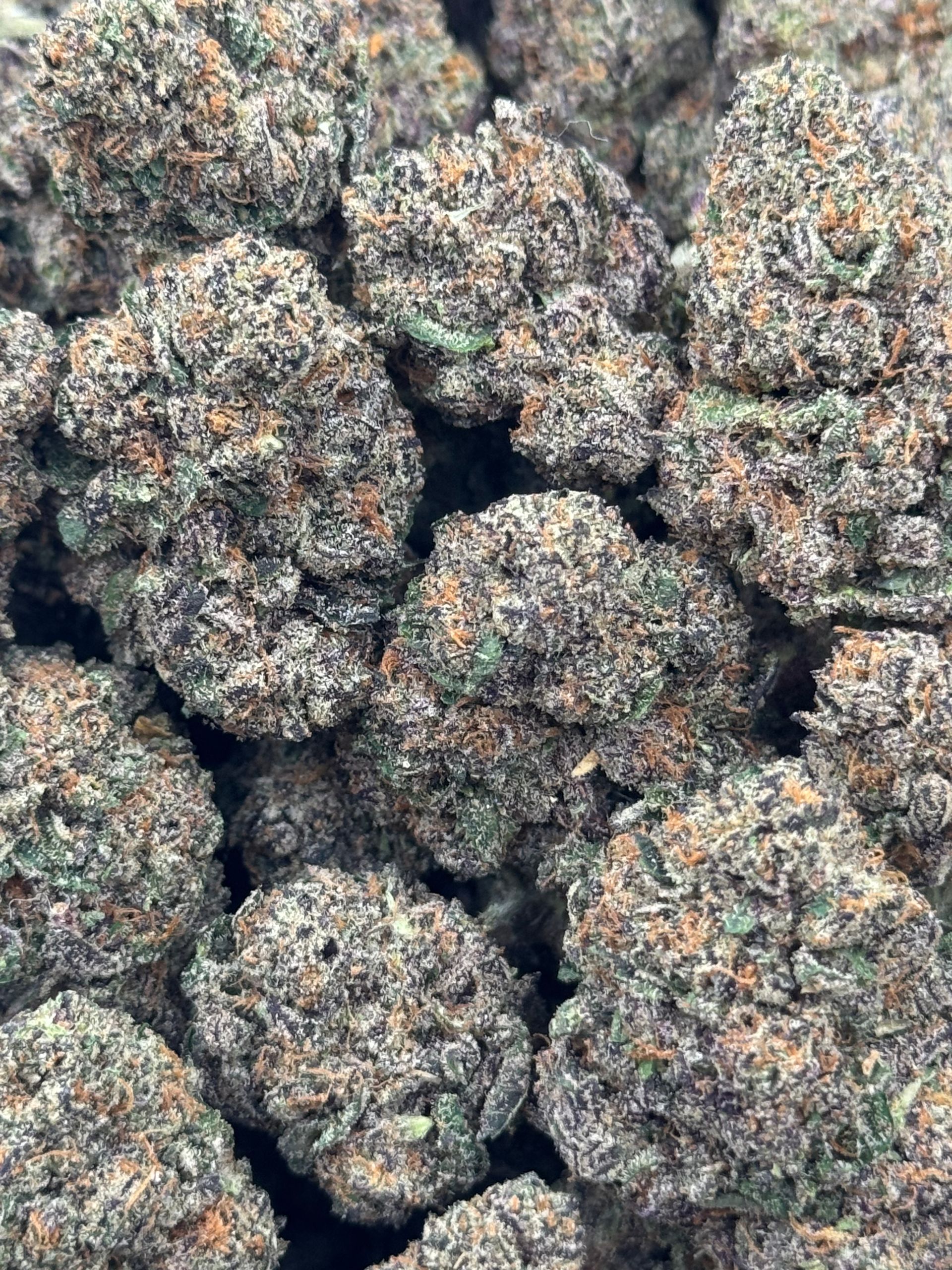 Do-Si-Dos