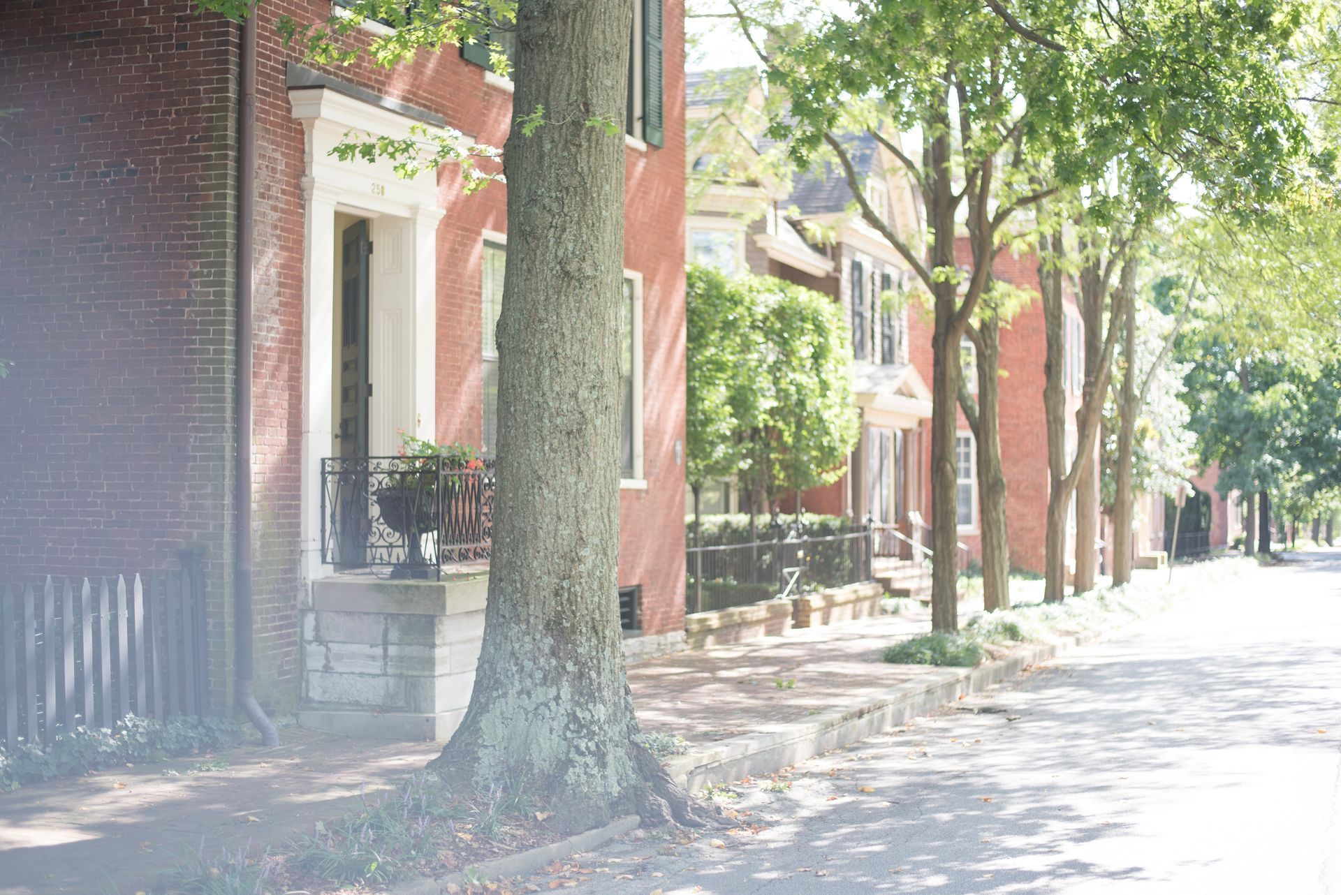 Street with trees and brick buildings
