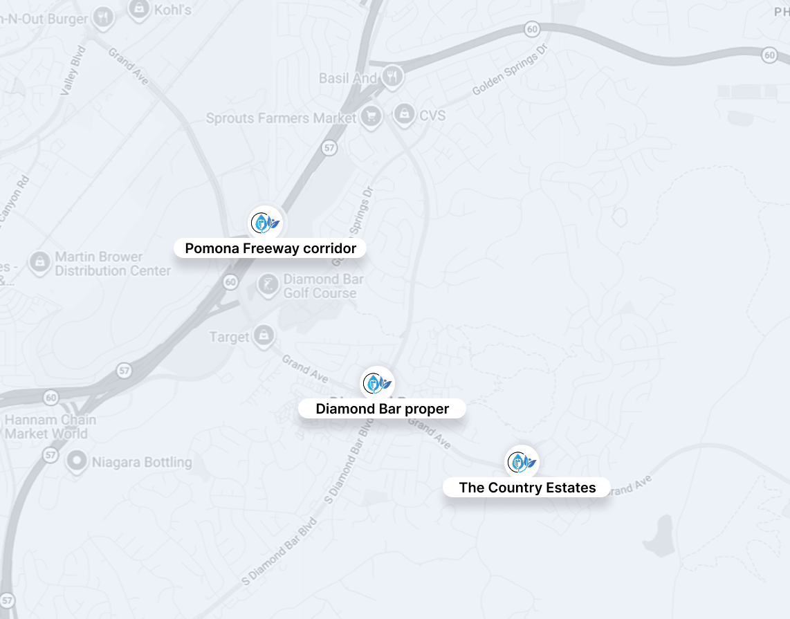 Grey map screenshot with labeled locations and roads, including “Portme Princess Centre,” “Diamond Bar proper,” and “The Caddys Estates”