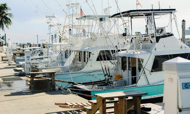 Several white and teal sport fishing boats are docked at a marina on a sunny day.